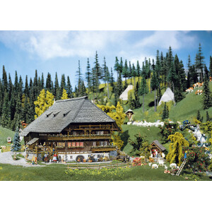 Farm und Bauernhof