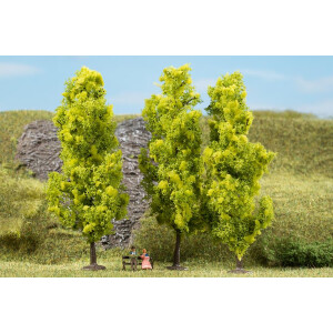 Arbres à feuilles caduques