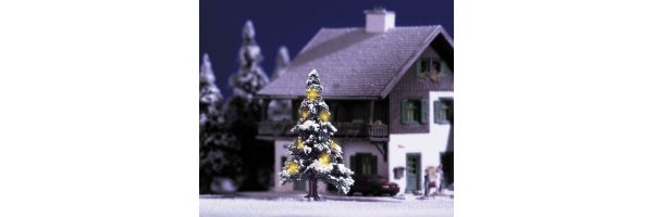 Winterlich- / Weihnachtliches