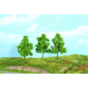 hedges, shrubs, bushes