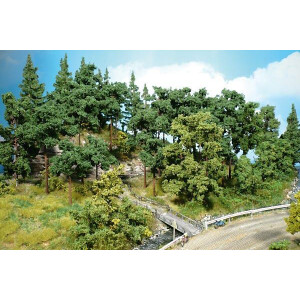mixed forest