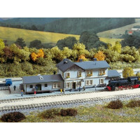 Auhagen 14453 Radeburg station, N