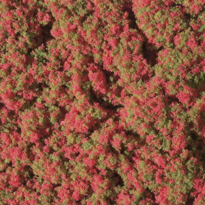 Auhagen 76932 Blumenmatte, rot, 15 x 9,5 cm