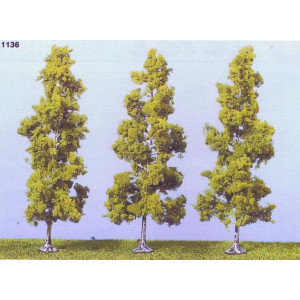Heki 1136 3 Birch-trees, TT-H0