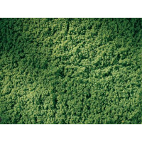 Auhagen 76666 Pelouse, vert clair
