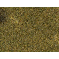 Auhagen 75117 1 Herbstwiesenmatte, 50 x 35 cm