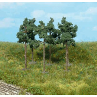 Heki 1152 5 Kiefern, 6 cm hoch, Z-H0