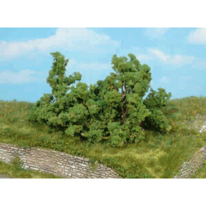 Heki 1179 4 Sträucher, 6-8 cm hoch, Z-H0
