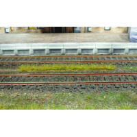 Heki 1810 10 Grasstreifen, Frühling, je 10 cm lang