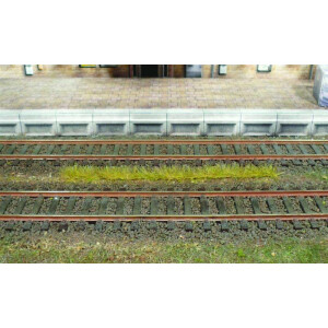 Heki 1812 10 Grasstreifen, Herbst, 6 mm hoch