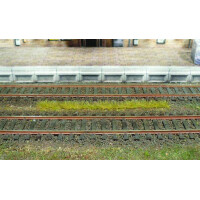 Heki 1812 10 Grasstreifen, Herbst, 6 mm hoch