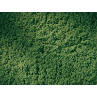 Auhagen 76669 Lawn roll spring green
