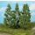 Heki 1737 4 poplars to stick, 13 cm, TT-H0