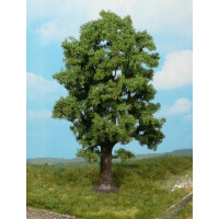 Heki 1740 1 Eiche, 18 cm hoch, TT-H0