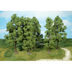 Heki 1761 6 Buchen, 18 cm hoch, TT-H0