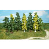 Heki 1410 12 deciduous trees, 7-12 cm, Z-H0