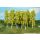 Heki 1412 14 birch-trees, 14 cm, TT-H0