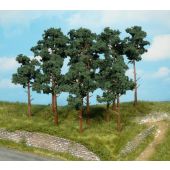 Heki 1413 14 pines, 10-16 cm, N-H0