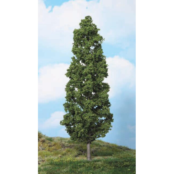 Heki 1982 1 beech tree, 27 cm, 0-G