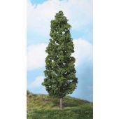 Heki 1982 1 beech tree, 27 cm, 0-G