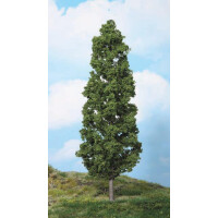 Heki 1982 1 beech tree, 27 cm, 0-G
