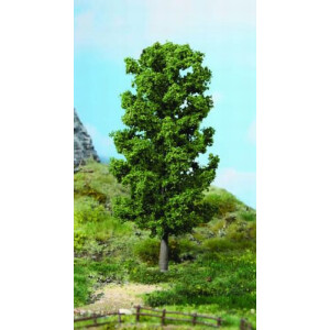 Heki 1981 1 Buche, 20 cm hoch, H0-G