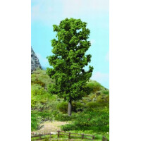 Heki 1981 1 Buche, 20 cm hoch, H0-G