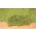 Heki 1675 Blätterflor, hellgrün, 28 x 14 cm