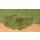 Heki 1677 Blätterflor, dunkelgrün, 28 x 14 cm