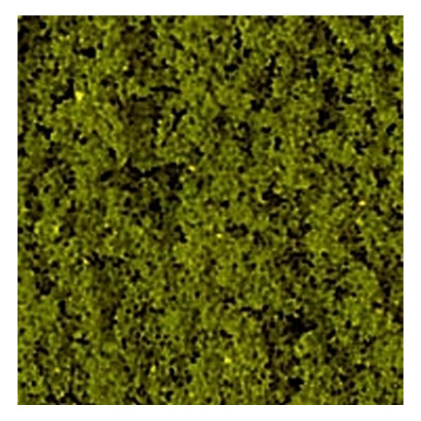Heki 1556 Heki-flor foliage, autumnal yellow