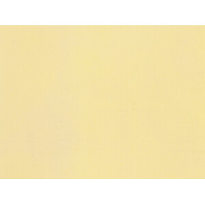 Noch 61171 Acrylic Spray ivory, matt, 200 ml