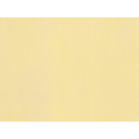 Noch 61171 Acrylic Spray ivory, matt, 200 ml