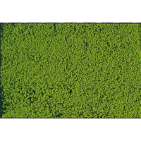 Heki 1600 microflor Beflockungsvlies, hellgrün, 28 x 14 cm
