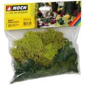 Noch 08621 Lichen, Green Mix, 75 g