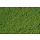 Heki 1601 microflor Foliage, middle green