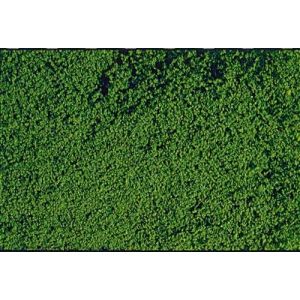 Heki 1602 microflor Foliage, dark green