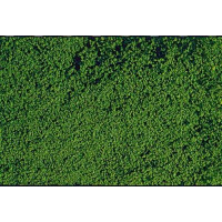 Heki 1602 microflor Beflockungsvlies, dunkelgrün, 28 x 14 cm