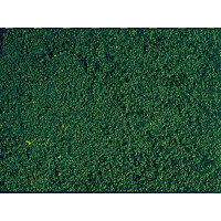 Heki 1613 Micro foliage, pine green, 200 ml