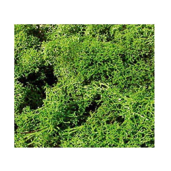 Heki 3210 Islandmoos, hellgrün, 30 g