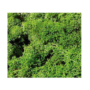 Heki 3210 Islandmoos, hellgrün, 30 g