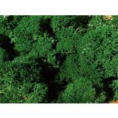 Heki 3211 Iceland moss, dark green, 30 g