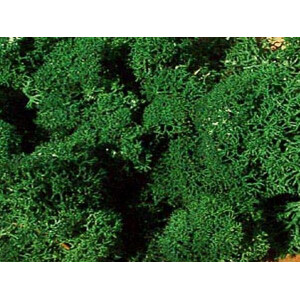 Heki 3211 Islandmoos, dunkelgrün, 30 g