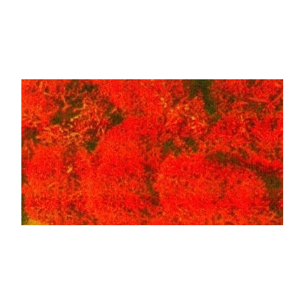 Heki 3213 Islandmoos, orange, 30 g