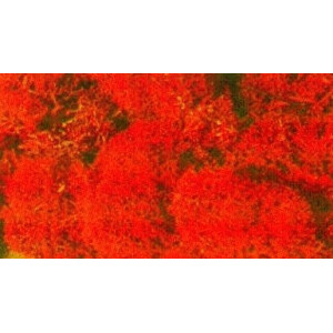 Heki 3213 Islandmoos, orange, 30 g