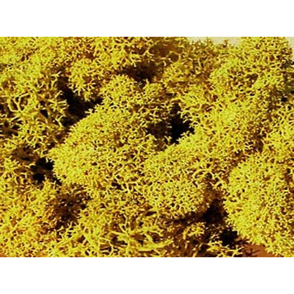 Heki 3215 Islandmoos, gelb, 30 g