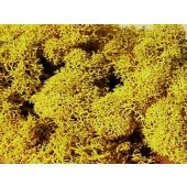 Heki 3215 Iceland moss, yellow, 30 g