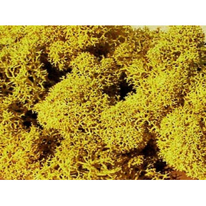 Heki 3215 Islandmoos, gelb, 30 g