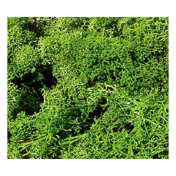 Heki 3219 Iceland moss, light green, 75 g
