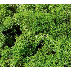 Heki 3219 Islandmoos, hellgrün, 75 g