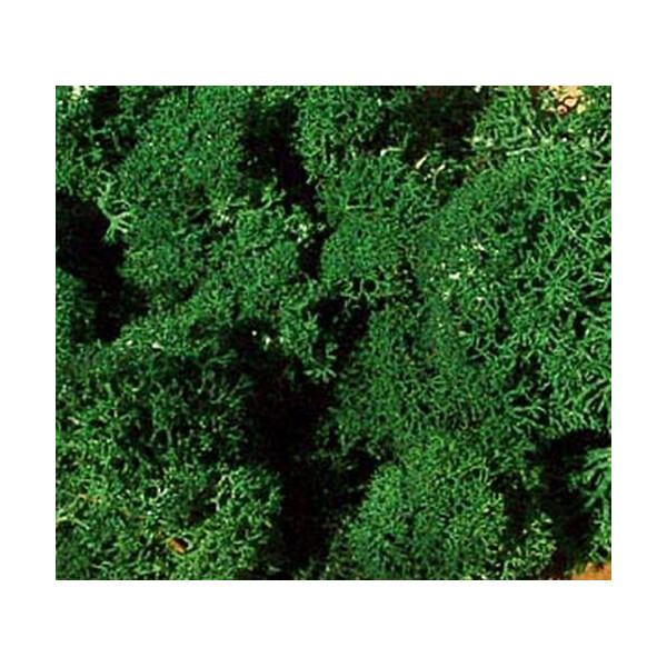 Heki 3220 Islandmoos, dunkelgrün, 75 g